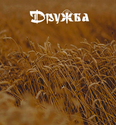 Новый сайт для Газеты Красногвардейского района «Дружба»